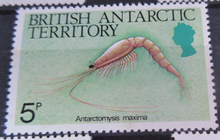 Load image into Gallery viewer, BRITISH ANTARCTIC TERRITORY SEA CREATURE STAMPS MNH WITH STAMP HOLDER PAGE