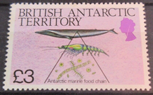 Load image into Gallery viewer, BRITISH ANTARCTIC TERRITORY SEA CREATURE STAMPS MNH WITH STAMP HOLDER PAGE