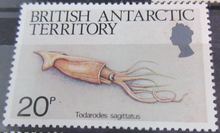 Load image into Gallery viewer, BRITISH ANTARCTIC TERRITORY SEA CREATURE STAMPS MNH WITH STAMP HOLDER PAGE