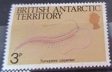 Load image into Gallery viewer, BRITISH ANTARCTIC TERRITORY SEA CREATURE STAMPS MNH WITH STAMP HOLDER PAGE