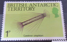 Load image into Gallery viewer, BRITISH ANTARCTIC TERRITORY SEA CREATURE STAMPS MNH WITH STAMP HOLDER PAGE