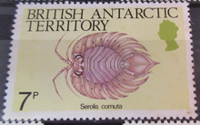 Load image into Gallery viewer, BRITISH ANTARCTIC TERRITORY SEA CREATURE STAMPS MNH WITH STAMP HOLDER PAGE