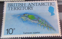Load image into Gallery viewer, BRITISH ANTARCTIC TERRITORY SEA CREATURE STAMPS MNH WITH STAMP HOLDER PAGE