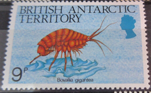 Load image into Gallery viewer, BRITISH ANTARCTIC TERRITORY SEA CREATURE STAMPS MNH WITH STAMP HOLDER PAGE