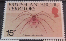 Load image into Gallery viewer, BRITISH ANTARCTIC TERRITORY SEA CREATURE STAMPS MNH WITH STAMP HOLDER PAGE