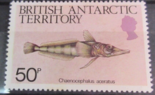 Load image into Gallery viewer, BRITISH ANTARCTIC TERRITORY SEA CREATURE STAMPS MNH WITH STAMP HOLDER PAGE