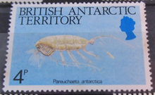 Load image into Gallery viewer, BRITISH ANTARCTIC TERRITORY SEA CREATURE STAMPS MNH WITH STAMP HOLDER PAGE