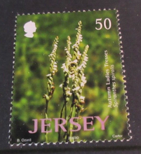 Load image into Gallery viewer, JERSEY PLANTS DECIMAL STAMPS X 4 MNH IN STAMP HOLDER