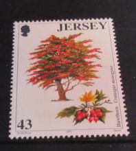 Load image into Gallery viewer, QUEEN ELIZABETH II TREES JERSEY DECIMAL STAMPS X 4 MNH IN STAMP HOLDER