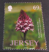 Load image into Gallery viewer, JERSEY PLANTS DECIMAL STAMPS X 4 MNH IN STAMP HOLDER