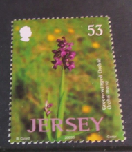 Load image into Gallery viewer, JERSEY PLANTS DECIMAL STAMPS X 4 MNH IN STAMP HOLDER