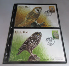 Load image into Gallery viewer, 1997 BARN OWL & LITTLE OWL PAIR OF FIRST DAY COVERS IOM STAMPS WITH ALBUM SHEET