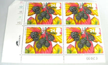 Load image into Gallery viewer, 1993 THE FOUR SEASONS AUTUMN BLACKBERRY 24p BLOCK OF 4 STAMPS MNH