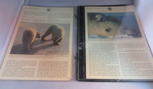 Load image into Gallery viewer, Polar Bear WWF Info Sheets Exclusive Stamps from Russia and FDC's