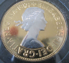 Load image into Gallery viewer, UK Queen Elizabeth II Gold Rhodium Platinum Enamelled coins 1 PENNY FLORIN ECT