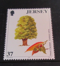 Load image into Gallery viewer, QUEEN ELIZABETH II TREES JERSEY DECIMAL STAMPS X 4 MNH IN STAMP HOLDER