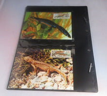 Load image into Gallery viewer, Amphibians WWF Info Sheets Exclusive Stamps from Czechoslovakia and FDC's