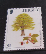 Load image into Gallery viewer, QUEEN ELIZABETH II TREES JERSEY DECIMAL STAMPS X 4 MNH IN STAMP HOLDER