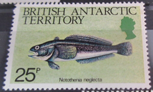 Load image into Gallery viewer, BRITISH ANTARCTIC TERRITORY SEA CREATURE STAMPS MNH WITH STAMP HOLDER PAGE
