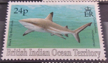 Load image into Gallery viewer, BRITISH INDIAN OCEAN TERRITORY SHARK STAMPS MNH WITH STAMP HOLDER PAGE
