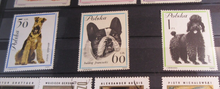 Load image into Gallery viewer, POLAND POSTAGE STAMPS MNH IN CLEAR FRONTED STAMP HOLDER
