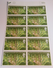 Load image into Gallery viewer, QUEEN ELIZABETH II PRE DECIMAL 1970  9TH COMMONWEALTH GAMES STAMPS x18 MNH
