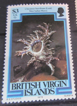 Load image into Gallery viewer, BRITISH VIRGIN ISLANDS SEA CREATURE STAMPS MNH WITH STAMP HOLDER PAGE
