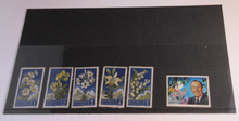 Load image into Gallery viewer, POSTAGE STAMPS REPUBBLICA DI S MARINO 5 X 1957 &amp; 1 X 1970 MNH IN STAMP HOLDER
