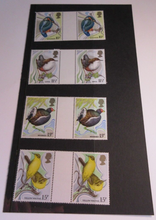 Load image into Gallery viewer, 1980 CENTENARY OF WILD BIRD PROTECTION ACT GUTTER PAIRS 8 STAMPS MNH IN HOLDER

