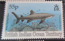 Load image into Gallery viewer, BRITISH INDIAN OCEAN TERRITORY SHARK STAMPS MNH WITH STAMP HOLDER PAGE
