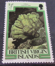 Load image into Gallery viewer, BRITISH VIRGIN ISLANDS SEA CREATURE STAMPS MNH WITH STAMP HOLDER PAGE
