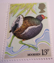 Load image into Gallery viewer, 1980 CENTENARY OF WILD BIRD PROTECTION ACT GUTTER PAIRS 8 STAMPS MNH IN HOLDER
