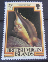 Load image into Gallery viewer, BRITISH VIRGIN ISLANDS SEA CREATURE STAMPS MNH WITH STAMP HOLDER PAGE
