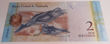 Load image into Gallery viewer, SOUTH AMERICA BANKNOTES BRASIL PERU VENEZUELA X 5 WITH NOTE HOLDER
