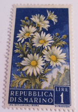 Load image into Gallery viewer, POSTAGE STAMPS REPUBBLICA DI S MARINO 5 X 1957 &amp; 1 X 1970 MNH IN STAMP HOLDER
