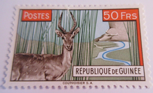 Load image into Gallery viewer, 1961 REPUBLICA DE GUINEA ECUATORIAL STAMPS MNH - PLEASE SEE PHOTGRAPHS

