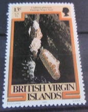 Load image into Gallery viewer, BRITISH VIRGIN ISLANDS SEA CREATURE STAMPS MNH WITH STAMP HOLDER PAGE
