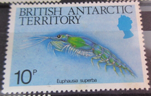 Load image into Gallery viewer, BRITISH ANTARCTIC TERRITORY SEA CREATURE STAMPS MNH WITH STAMP HOLDER PAGE
