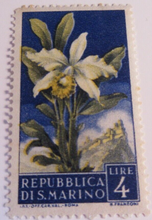 Load image into Gallery viewer, POSTAGE STAMPS REPUBBLICA DI S MARINO 5 X 1957 &amp; 1 X 1970 MNH IN STAMP HOLDER
