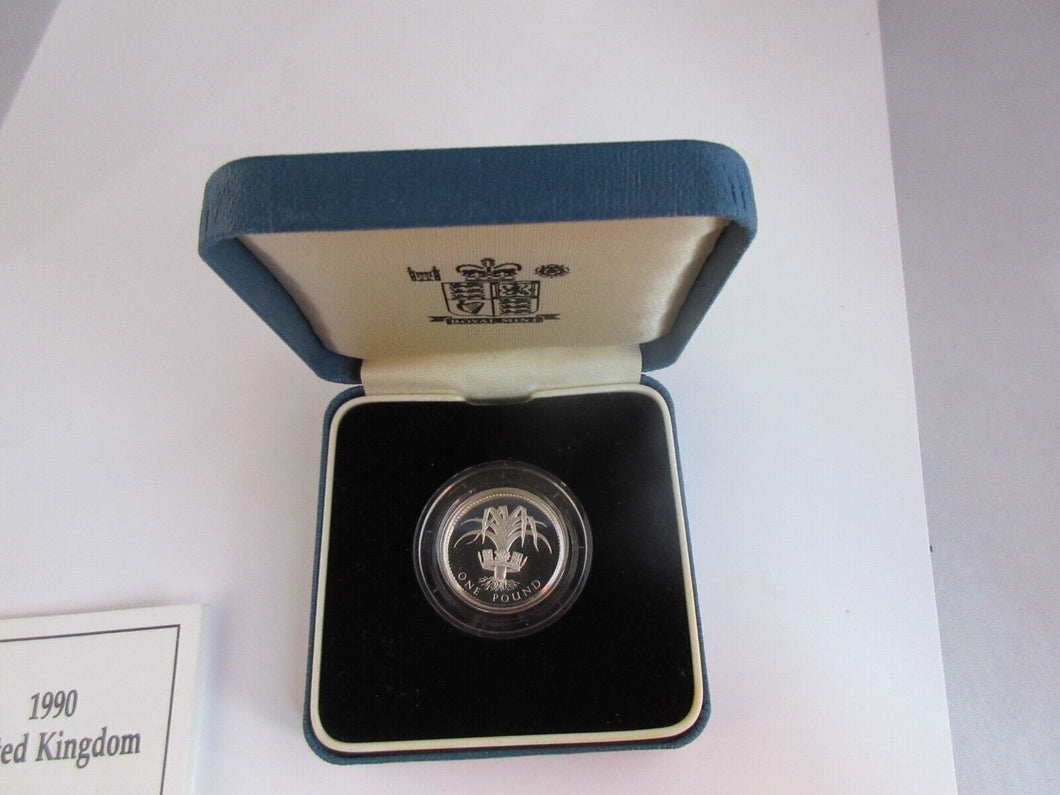 1990 £1 ONE POUND SILVER PROOF COIN WELSH LEEK ROYAL MINT BOX & COA