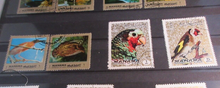 Load image into Gallery viewer, WORLD STAMPS AJMAN UNITED ARAB EMIRATES  X 19 MH IN STAMP HOLDER
