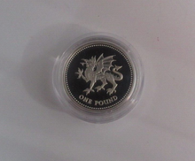 Load image into Gallery viewer, 1995 Dragon of Wales Silver Proof UK Royal Mint £1 Coin Boxed With COA
