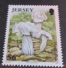 Load image into Gallery viewer, QUEEN ELIZABETH II FUNGI 4 X JERSEY DECIMAL STAMPS MNH IN STAMP HOLDER
