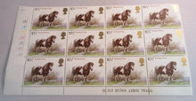 Load image into Gallery viewer, 1978 SHETLAND PONY 10 1/2p BLOCK OF 12 STAMPS MNH
