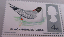 Load image into Gallery viewer, 1966 BIRDS 4d 15 X STAMPS MNH WITH CLEAR FRONTED STAMP HOLDER
