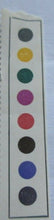 Load image into Gallery viewer, 1966 FLOWERS 4d 6 STAMPS MNH WITH TRAFFIC LIGHTS &amp; CLEAR FRONTED STAMP HOLDER
