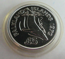 Load image into Gallery viewer, FALKLAND ISLANDS CONSERVATION 1979 ROYAL MINT SILVER PROOF £10 &amp; £5 POUND BOXED
