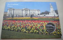 Load image into Gallery viewer, 2014 BUCKINGHAM PALACE MEDAL COVER ON INFO CARD - NO STAMPS
