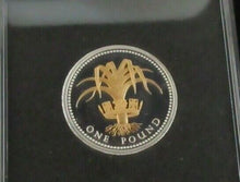 Load image into Gallery viewer, 2008 Royal Mint Wales The Floral Series £1 One Pound Silver Gold Proof Coin
