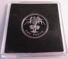 Load image into Gallery viewer, 1985 £1 ONE POUND SILVER PROOF COIN WELSH LEEK BOX &amp; COA
